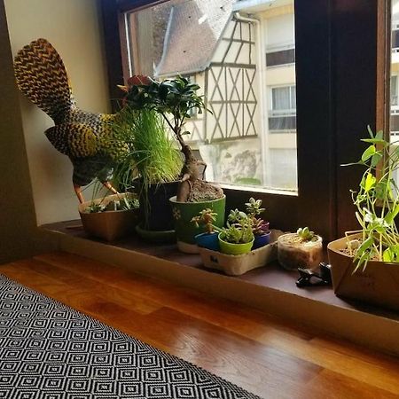 Cosy Apartment By The Magical Marais De Bourges Eksteriør bilde