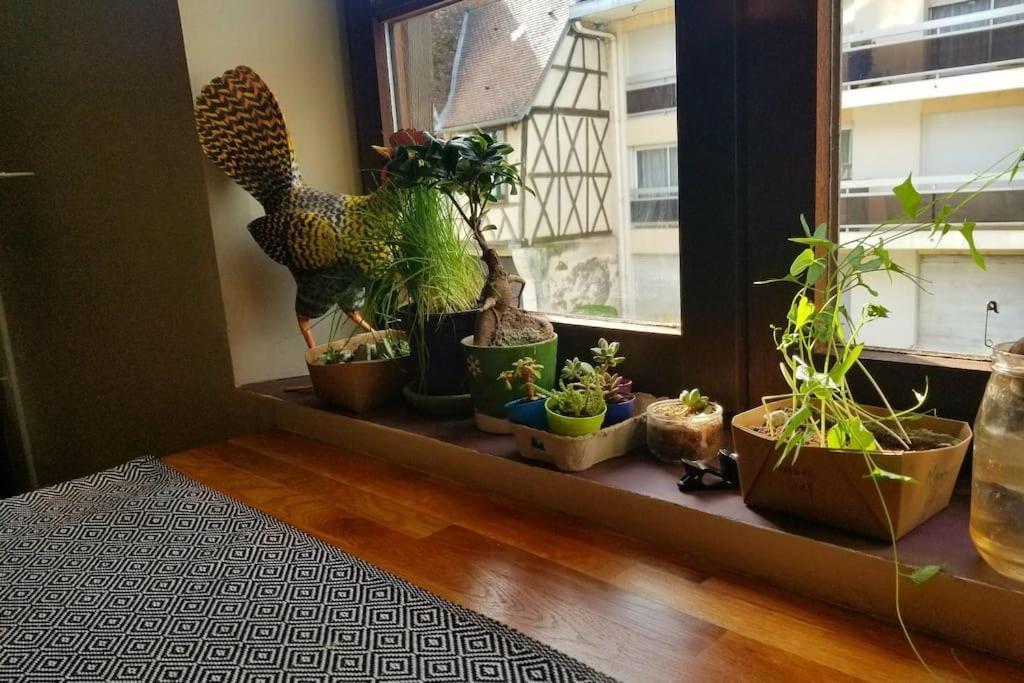 Cosy Apartment By The Magical Marais De Bourges Eksteriør bilde